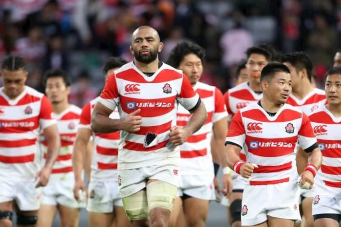 How successful was the Japan Rugby World Cup 2019?