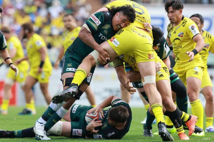 Japan Rugby League One 2025-2026 Round 18 Preview